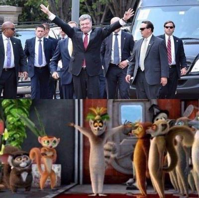 Прикрепленное изображение: 49898394_1169635423194413_5119529844928937984_n.jpg